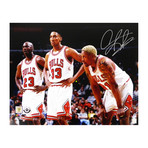 Dennis Rodman Signed Chicago Bulls with Michael Jordan & Scottie Pippen Photo // 16" x 20"