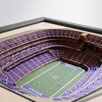 Minnesota Vikings // US Bank Stadium (5-Layer)