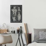 Muscles Of The Back And Neck I by ChartSmartDecor (26"W x 18"H x 0.75" D)