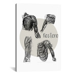 Muscles Of The Chest And Shoulder Restore by ChartSmartDecor (26"W x 18"H x 0.75" D)