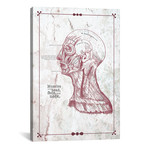 Muscles Of The Head Face And Neck by ChartSmartDecor (26"W x 18"H x 0.75" D)