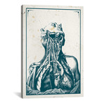 Dissection Of The Chest And Neck by ChartSmartDecor (26"W x 18"H x 0.75" D)