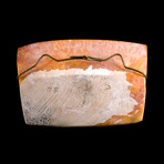 Spectacular Valdivian Mask Pendant // Ecuador Ca. 2500 BCE