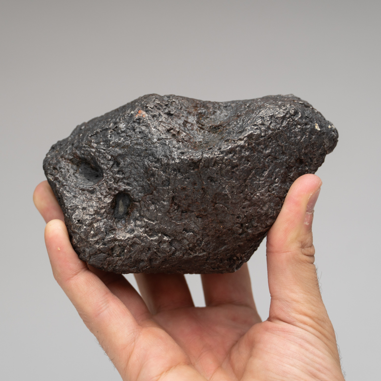 Genuine Campo Del Cielo Meteorite Argentina I Astro Gallery