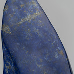 Polished Natural Lapis Lazuli Freeform // Acrylic Display // I