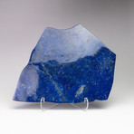 Large Polished Natural Lapis Lazuli Freeform // Acrylic Display