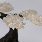 The Energy Tree // White Quartz Gemstone Tree on Amethyst Matrix // Small
