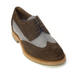 Adolfo Dress Shoes // Brown, Gray (Euro: 42)