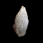 Muonionalusta Meteorite // End Cut // Ver. I