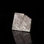 Muonionalusta Meteorite Slice // Ver. I