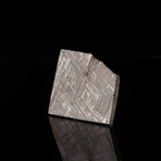 Muonionalusta Meteorite Slice // Ver. I