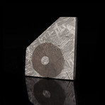 Muonionalusta Meteorite // Slice + Triolite