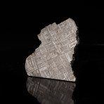 Muonionalusta Meteorite Slice // Ver. 1