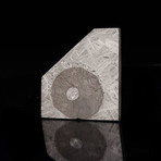Muonionalusta Meteorite // Slice + Triolite