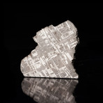 Muonionalusta Meteorite Slice // Ver. 1