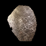Muonionalusta Meteorite // End Cut // Ver. II