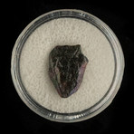 Nantan Meteorite in Collector’s Box