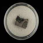 Seymchan Meteorite in Collector’s Box