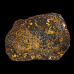 Pallasite Meteorite Slice
