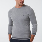Ugo Sweater // Gray (XL)