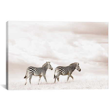 White Zebra Duo (18"W x 12"H x 0.75"D)