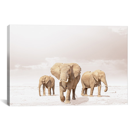 White Three Elephants (18"W x 12"H x 0.75"D)