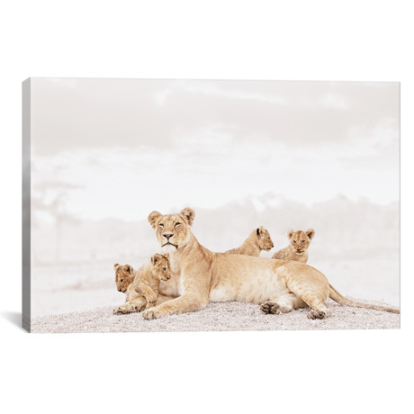 White Lioness + Cub // II (18"W x 12"H x 0.75"D)