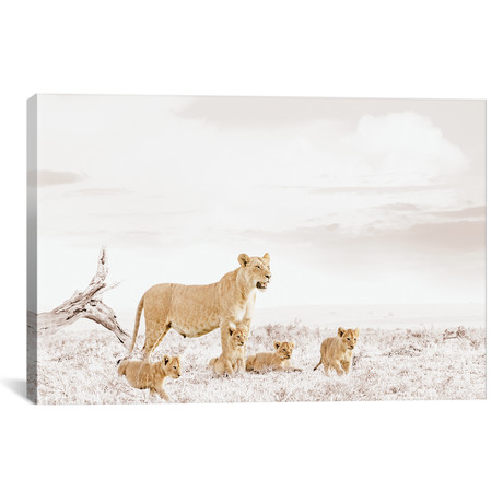 White Lioness + Cub // I (18"W x 12"H x 0.75"D)
