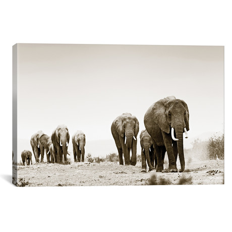 Marching Elephants (18"W x 12"H x 0.75"D)