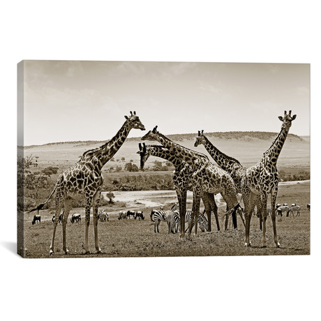 Gathering Giraffes (18"W x 12"H x 0.75"D)