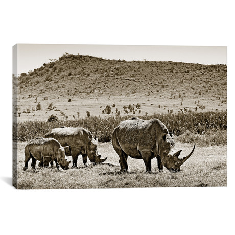 Peaceful Rhinos (18"W x 12"H x 0.75"D)