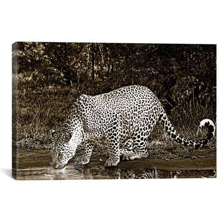 Refreshed Leopard (18"W x 12"H x 0.75"D)