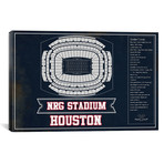 Houston NRG Stadium // Team Colors (12"W x 18"H x 0.75"D)