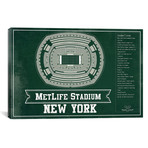 New York Metlife Stadium // Team Colors (12"W x 18"H x 0.75"D)