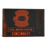 Cincinnati Paul Brown Stadium // Team Colors (12"W x 18"H x 0.75"D)