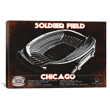 Chicago Soldier Field // Team Colors (12"W x 18"H x 0.75"D)