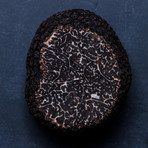 ToMo Special Edition Pack