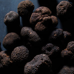 ToMo Special Edition Pack