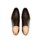 Caravaggio Dress Shoe // Brown (UK: 11)