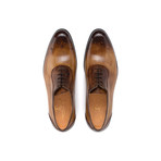 Raffaello Dress Shoe // Chestnut (UK: 7)
