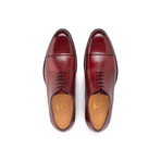 Tiziano Dress Shoe // Red Blade (UK: 8)