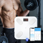 Smart Body Composition Scale (Mini Pro // 15"L x 14"W x 1.75"H)