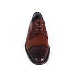 Anthony Shoe // Brown (Euro: 44)