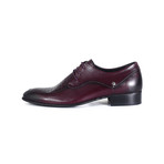 Elton Shoe // Burgundy (Euro: 40)