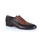 Daniel Shoe // Brown + Tobacco (Euro: 46)