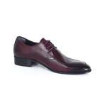 Elton Shoe // Burgundy (Euro: 40)