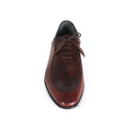 Bradley Shoe // Brown (Euro: 45)