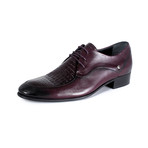 Elton Shoe // Burgundy (Euro: 40)