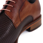 Donald Shoe // Brown + Tobacco (Euro: 43)