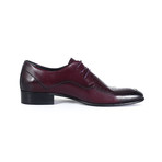 Elton Shoe // Burgundy (Euro: 40)